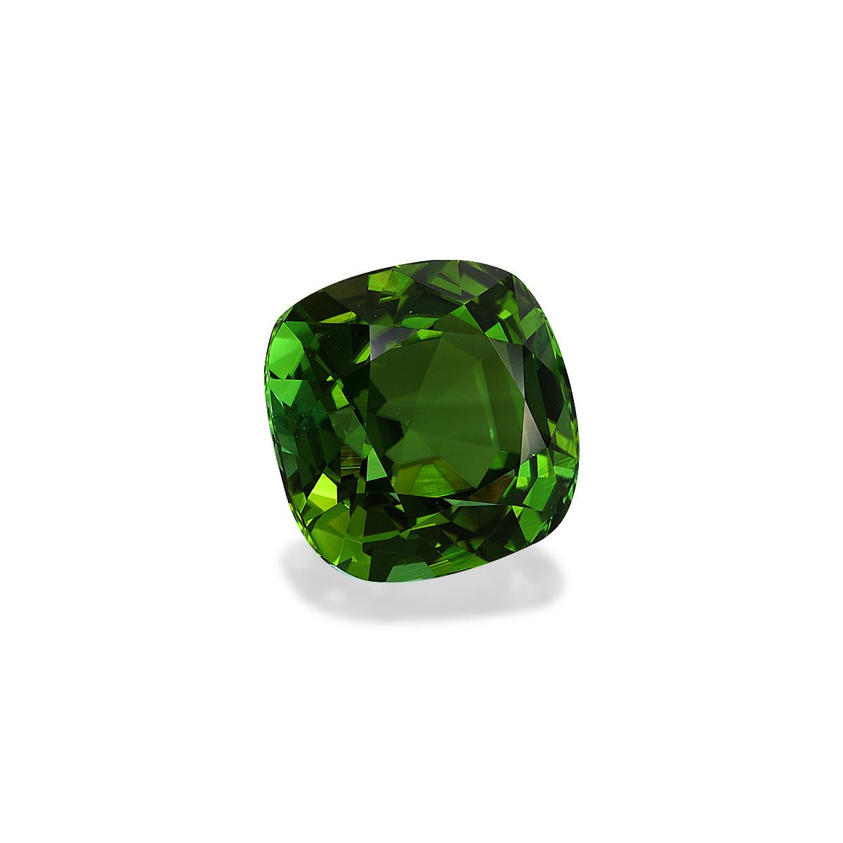 Green Tourmaline 12.76 ct